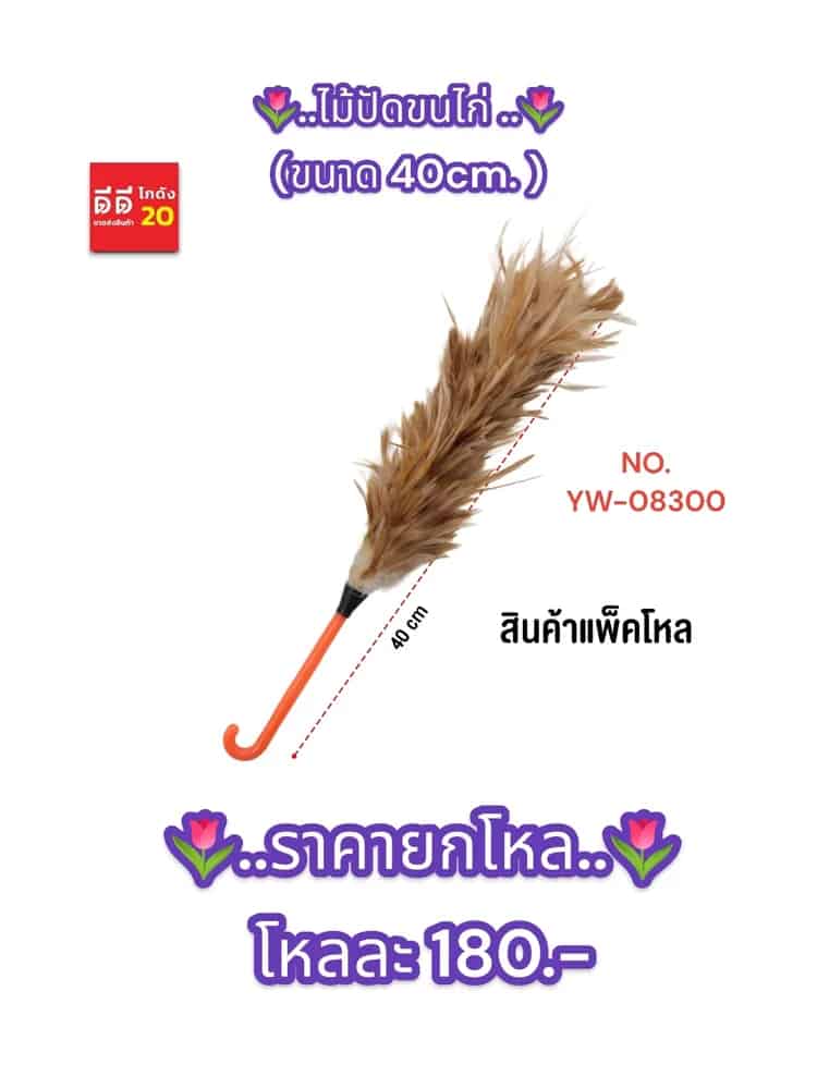 ไม้ปัดขนไก่สี