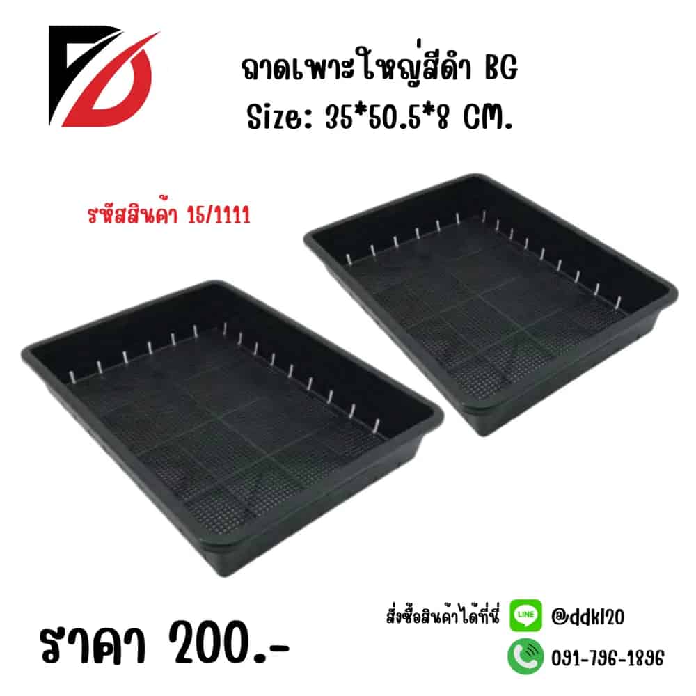 ถาดเพาะใหญ่ (โปร่ง) สีดำ