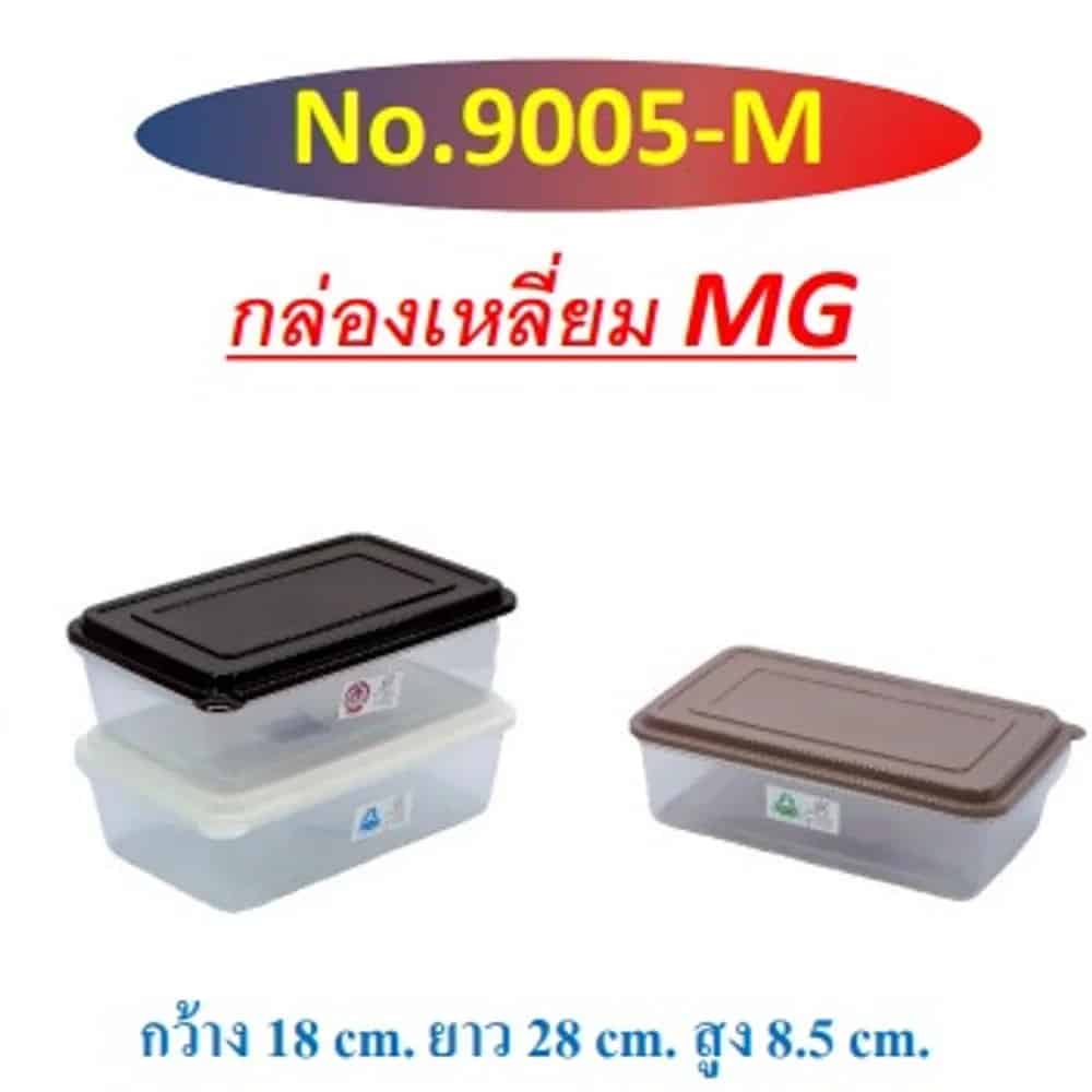กล่องเหลี่ยม GM (สีโมเดริน์) PP