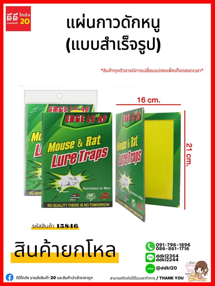 แผ่นกาวดักหนู (แบบสำเร็จรูป) 1